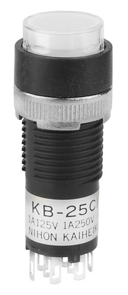 KB25CKW01-6G-JB Picture