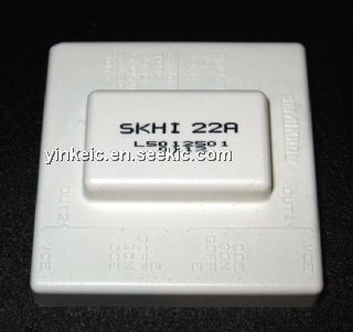 SKHI22A Picture