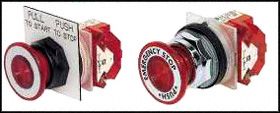 9001SKR9RH13 - SWITCH, INDUSTRIAL PUSHBUTTON, 30MM detail