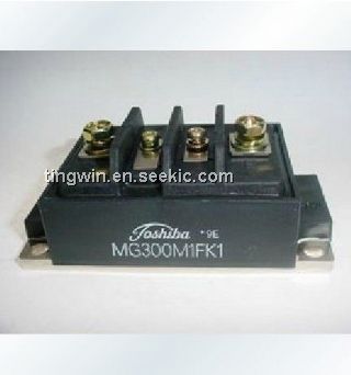 MG300M1FK1 Picture