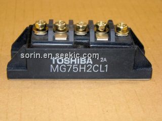 MG75H2CL1 Picture